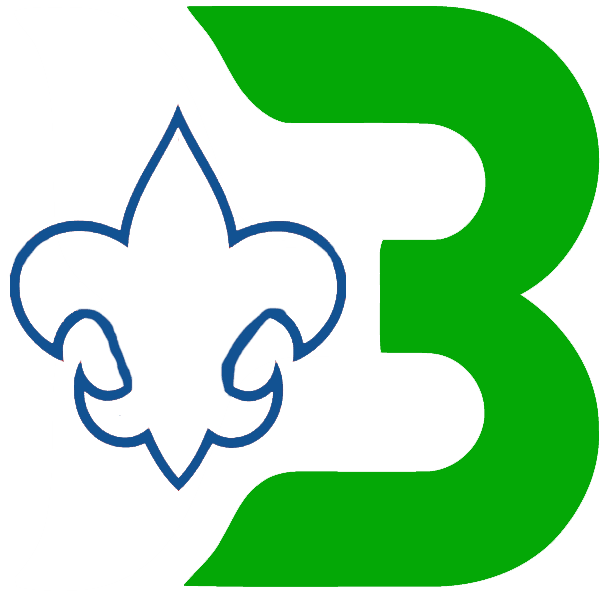 Binghamton Whalers 1980 81-1989 90 Misc Logo iron on heat transfer